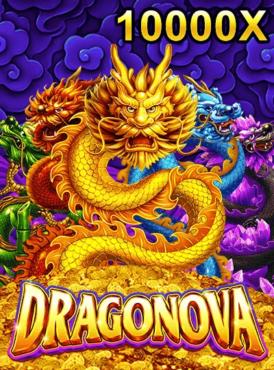 66mmr66